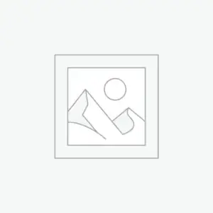 Networking Server Adapters